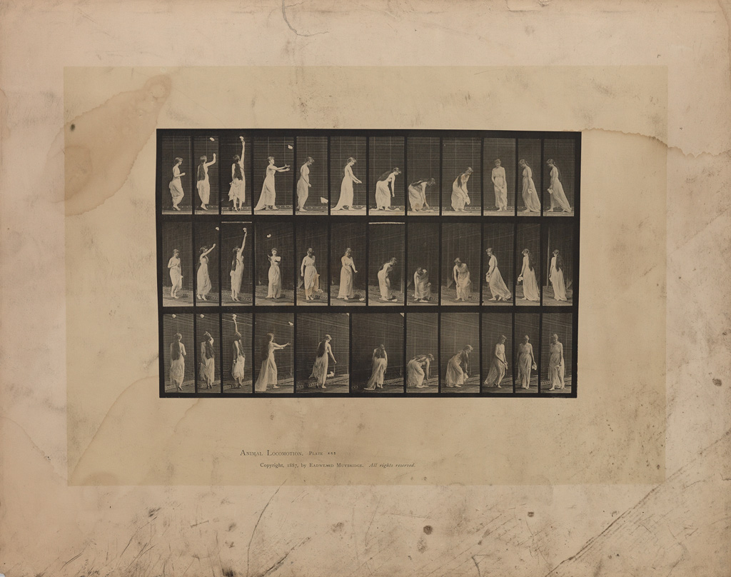 EADWARD MUYBRIDGE (1830-1904) A selection of 54 plates from Animal Locomotion.
